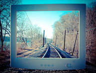 Professional Website Designer