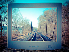 Professional Website builder